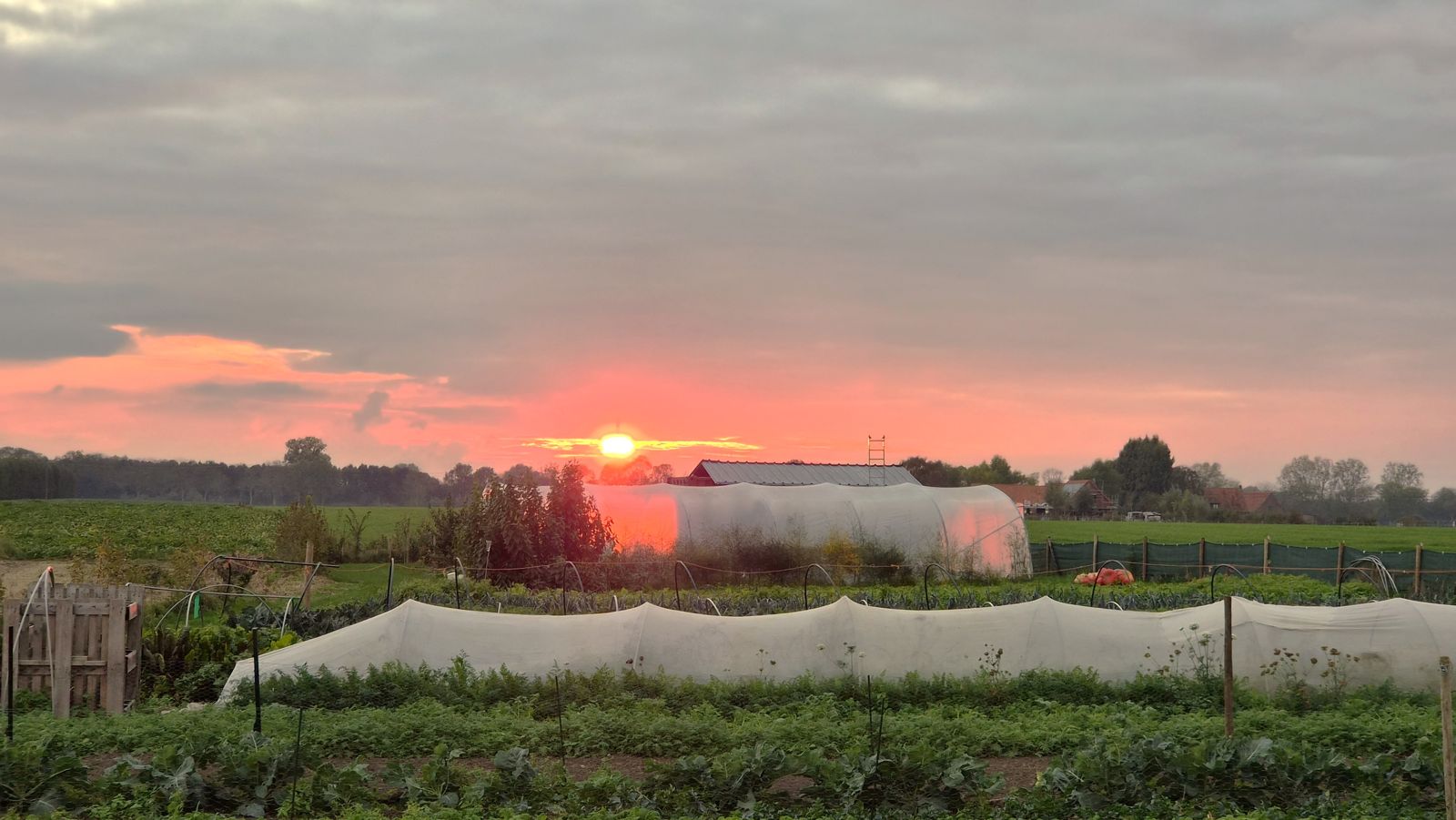 Zonsondergang boven de Goestuin met serre en groentebedden